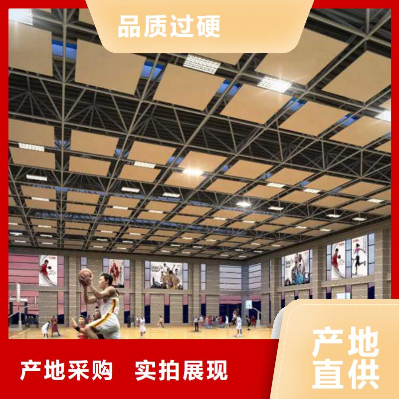 河北省当地[凯音]多功能体育馆吸音改造公司--2024最近方案/价格