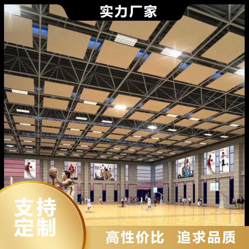 四川省厂家质量过硬【凯音】县体育馆声学设计改造公司方案--2024最近方案/价格