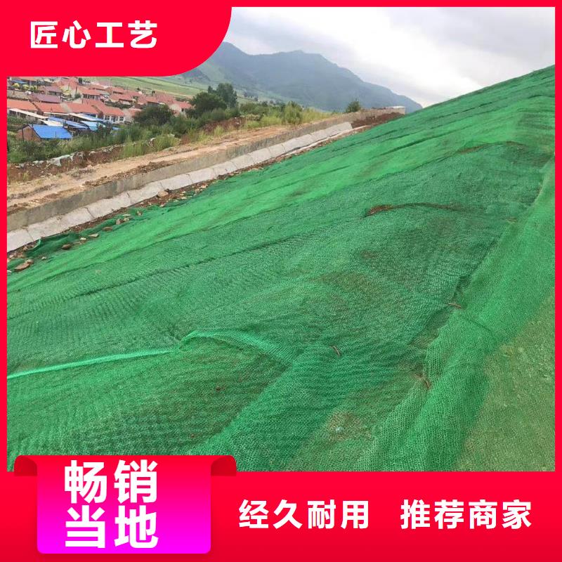 附近厂家 三维植被网,【止水铜片】严选好货_敢与同行比服务
