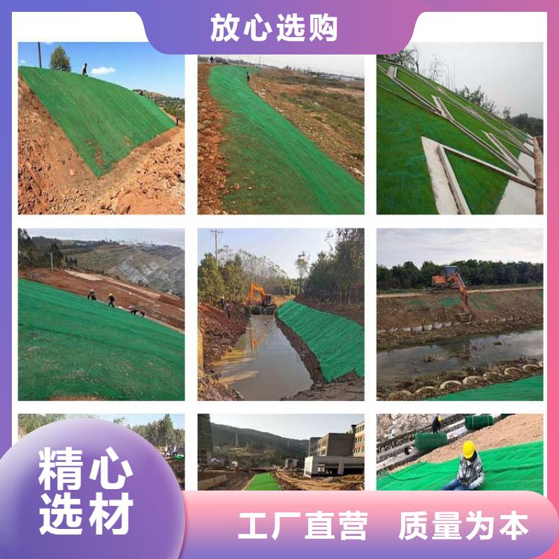 附近厂家 三维植被网,【止水铜片】严选好货_敢与同行比服务