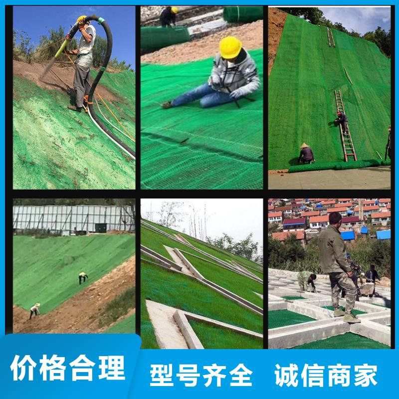 附近厂家 三维植被网,【止水铜片】严选好货_敢与同行比服务