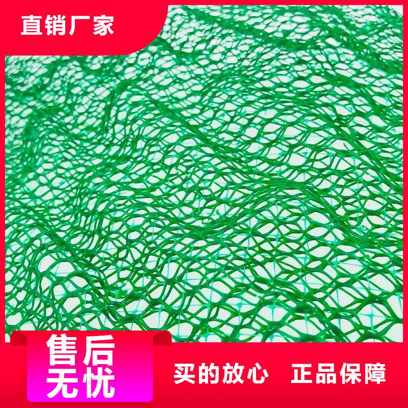 《金鸿耀》三维植被网图片电话订购热线