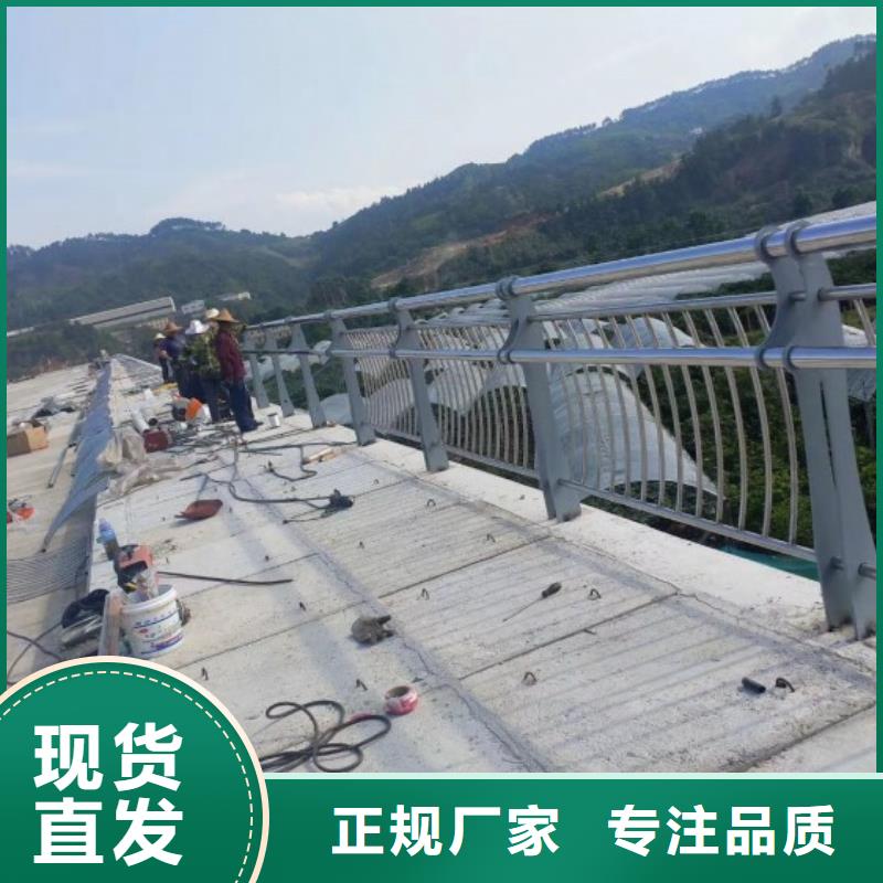 多年实力厂家【绿洲】桥梁防撞护栏河道护栏支持批发零售