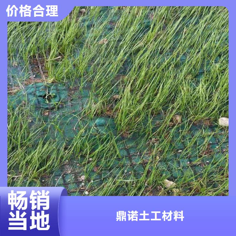 椰丝毯膨润土防水毯批发供应