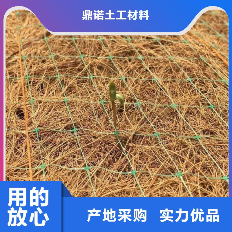 椰丝毯土工格栅今年新款