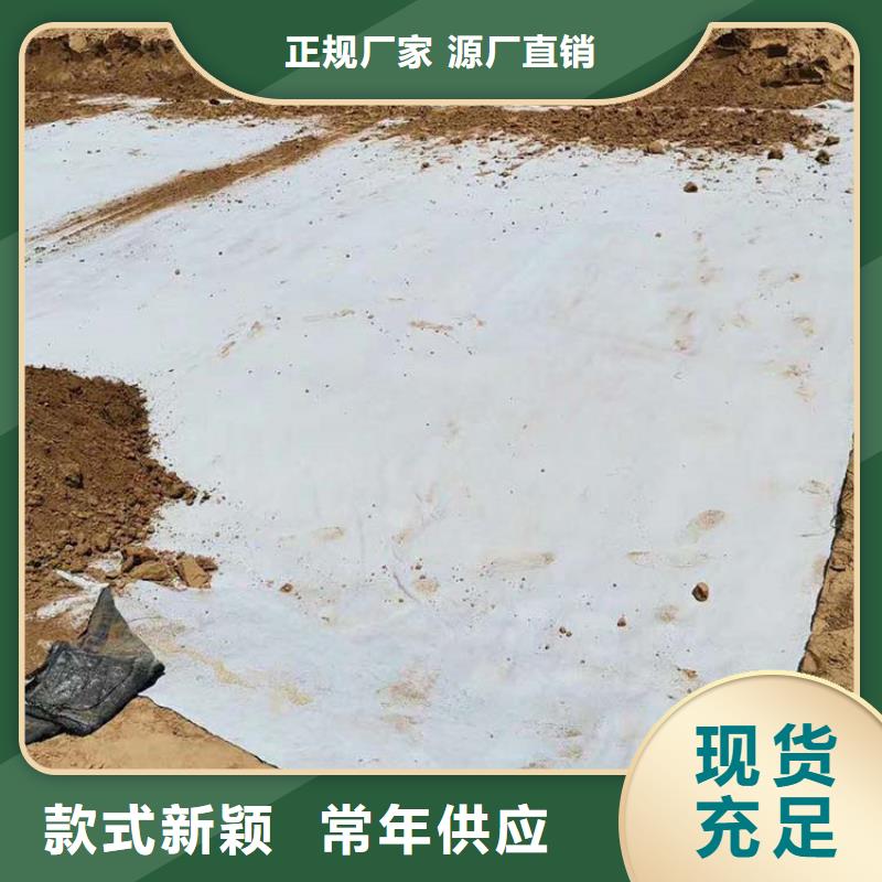 膨润土防水毯钢塑格栅专注品质