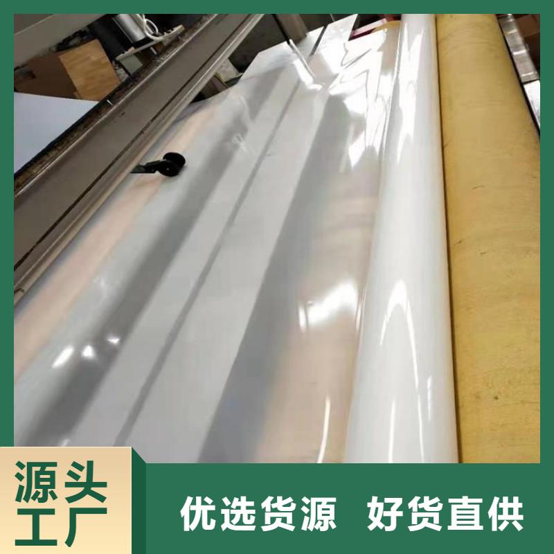 防水板玻璃纤维土工格栅厂家
