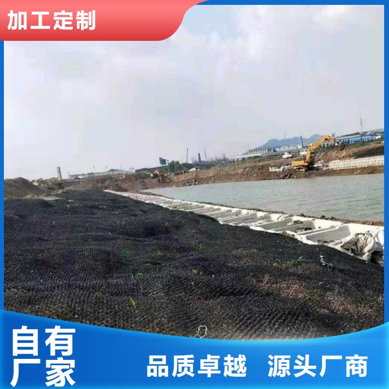 水土保护毯钢塑土工格栅快捷物流