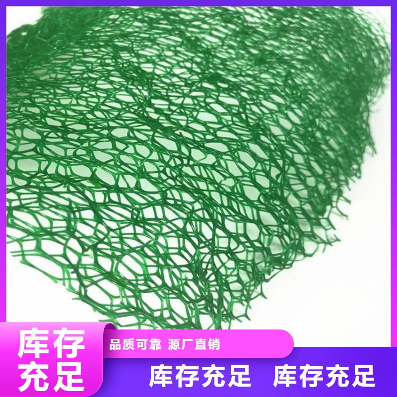 【三维植被网防渗膜工厂自营】