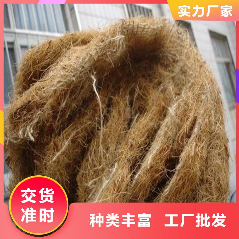 椰丝毯无纺布诚信经营现货现发