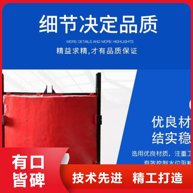  截流井闸门现货销售