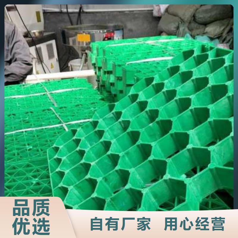 【植草格】水泥化粪池厂家质量过硬