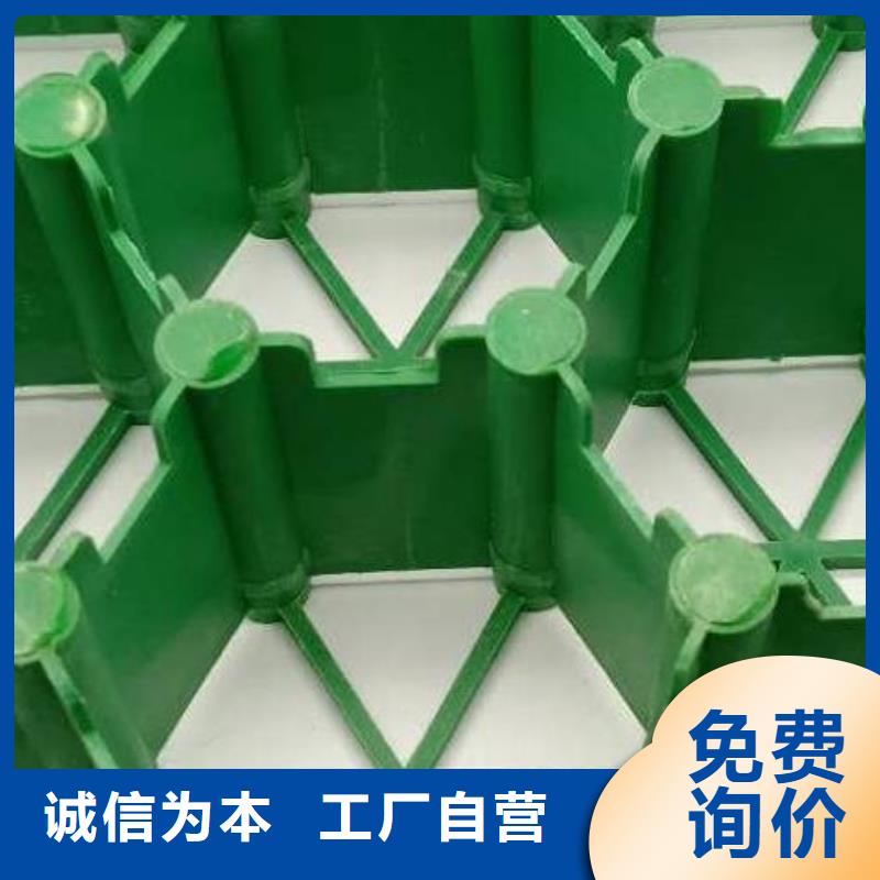 植草格-植草格满足您多种采购需求