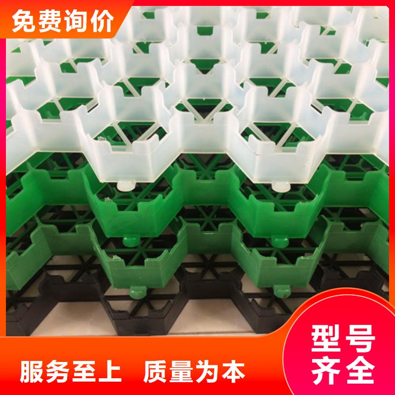植草格水泥化粪池好品质售后无忧