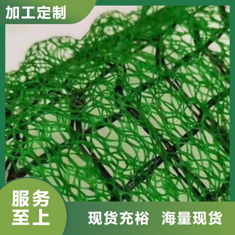 三维植被网植草格支持拿样