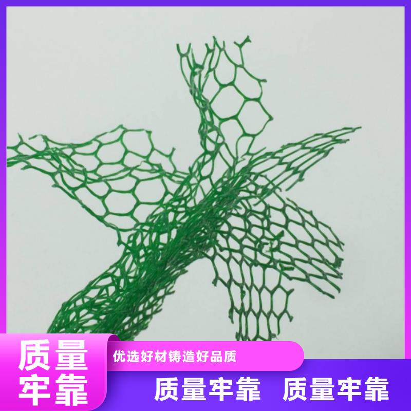 三维植被网【植草格】N年专注