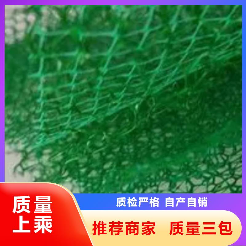 三维植被网水泥化粪池真实拍摄品质可靠