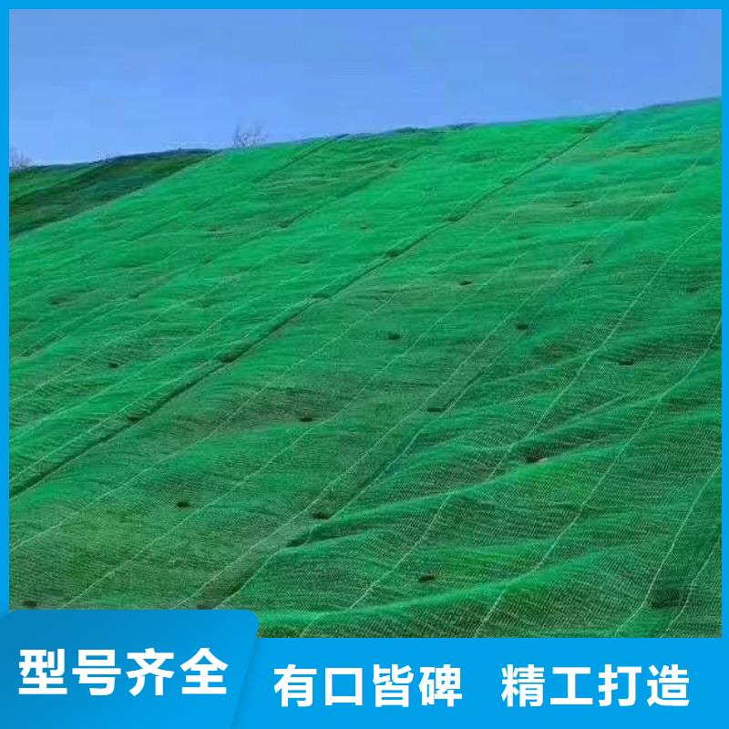 【三维植被网排水板专业生产制造厂】