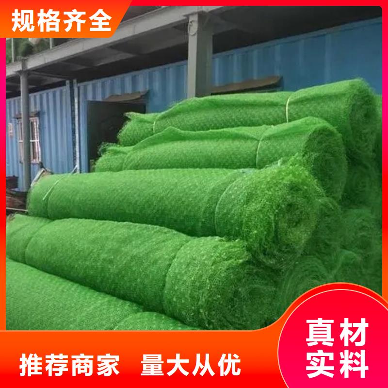 三维植被网_排水板严谨工艺