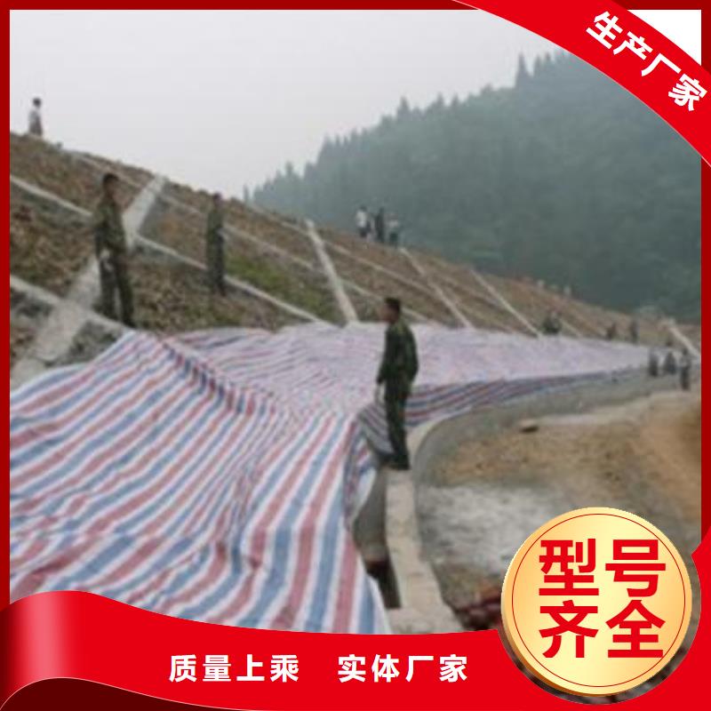 彩条布-防寒布厂家畅销当地