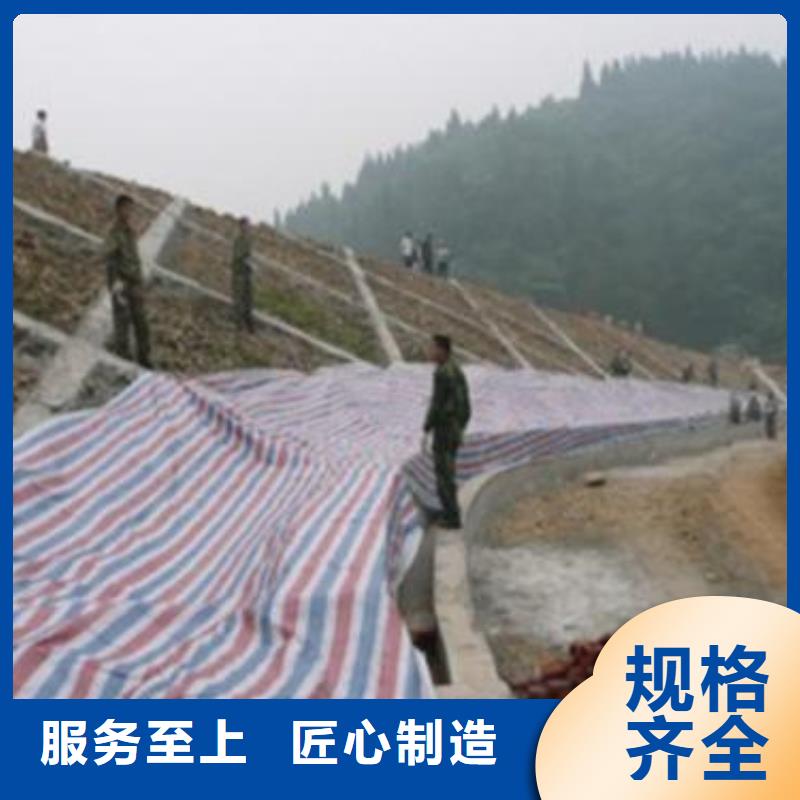 彩条布跨境pe篷布质检合格出厂