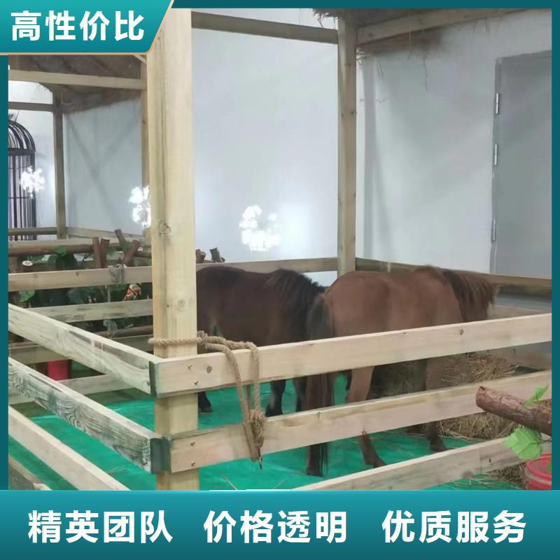 马戏团/羊驼羊驼出租技术成熟