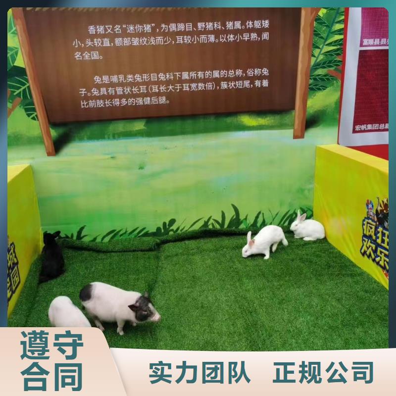 马戏团/羊驼羊驼出租技术成熟