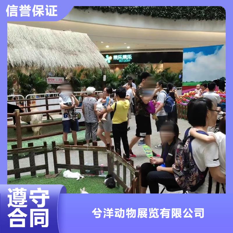 马戏团/羊驼水族海洋展品质保证