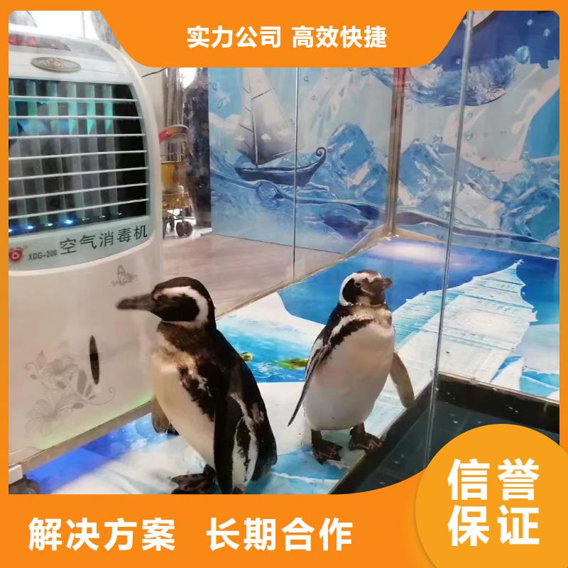 海洋主题动物表演水族海洋展口碑商家