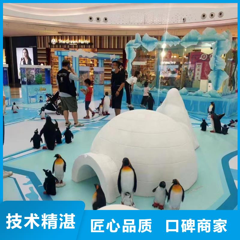 【海洋主题动物表演-海洋展租赁值得信赖】