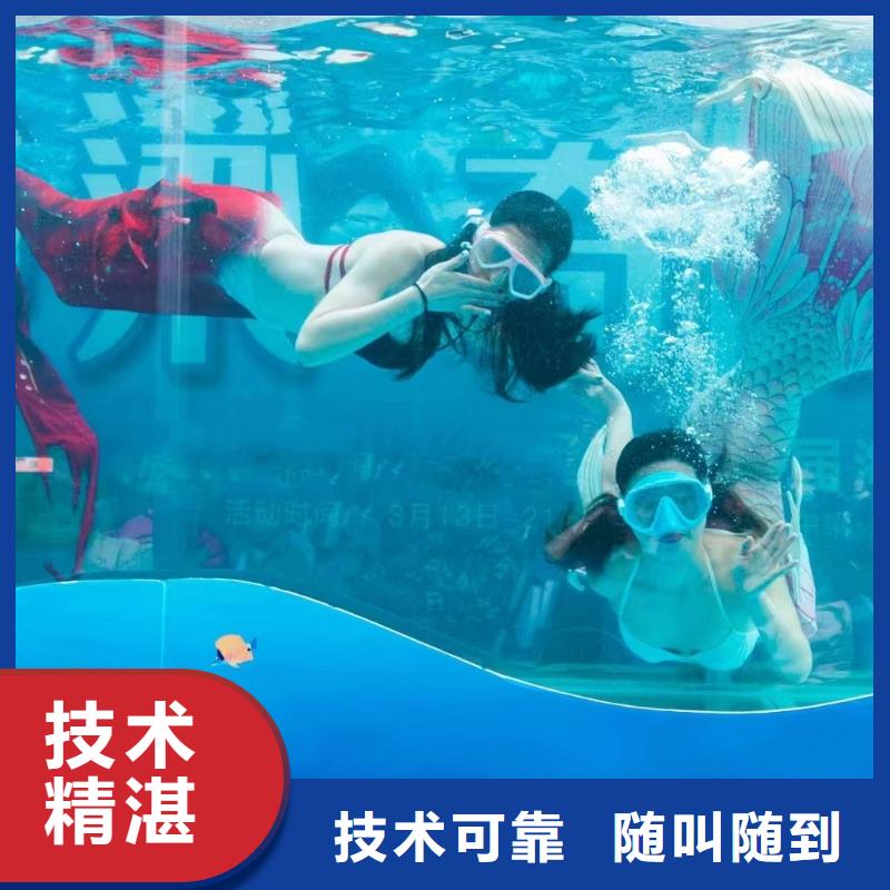 海洋主题动物表演【海狮表演出租】2025公司