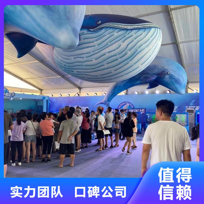 海洋主题动物表演水族海洋展口碑商家