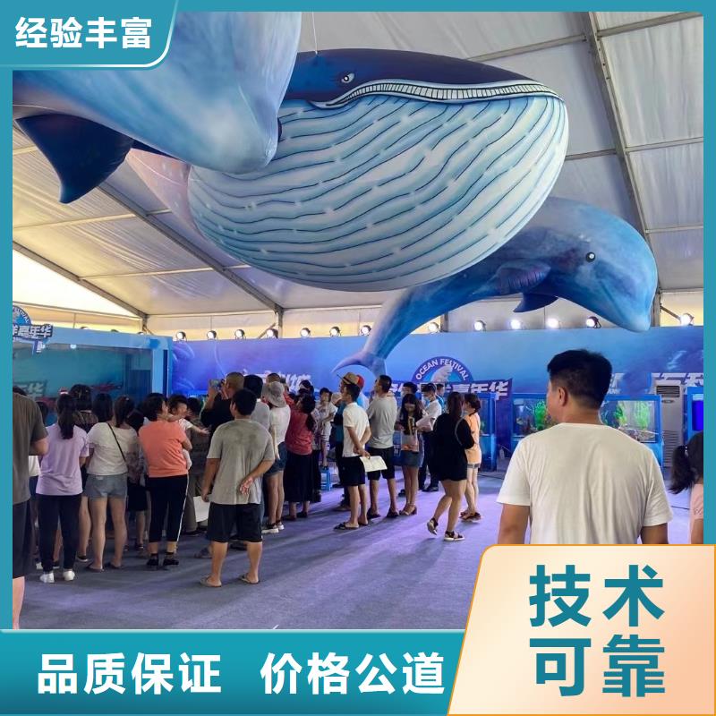 海洋主题动物表演【海洋展租赁】专业服务