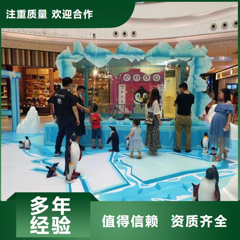 海洋主题动物表演_出租动物表演实力商家