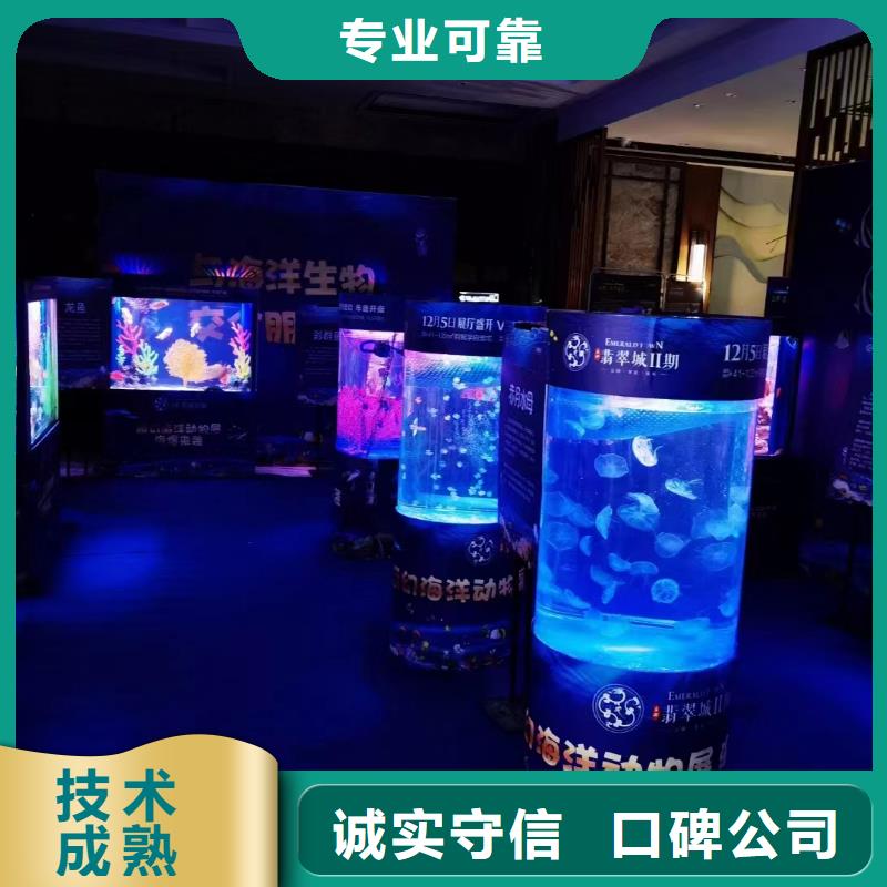 【海洋主题动物表演】 房地产开盘庆典质优价廉