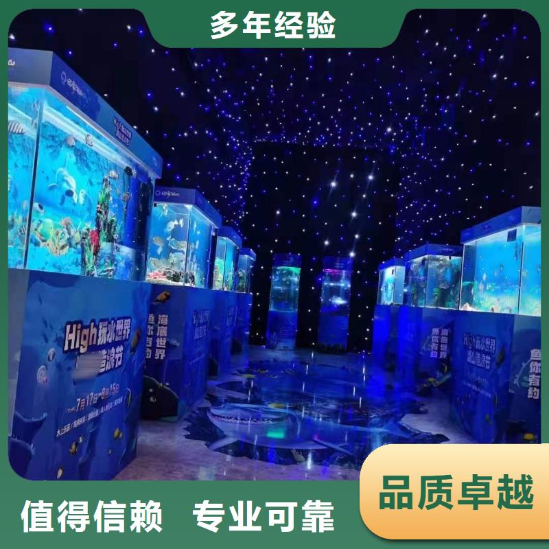 海洋主题动物表演【活体羊驼租赁】欢迎询价