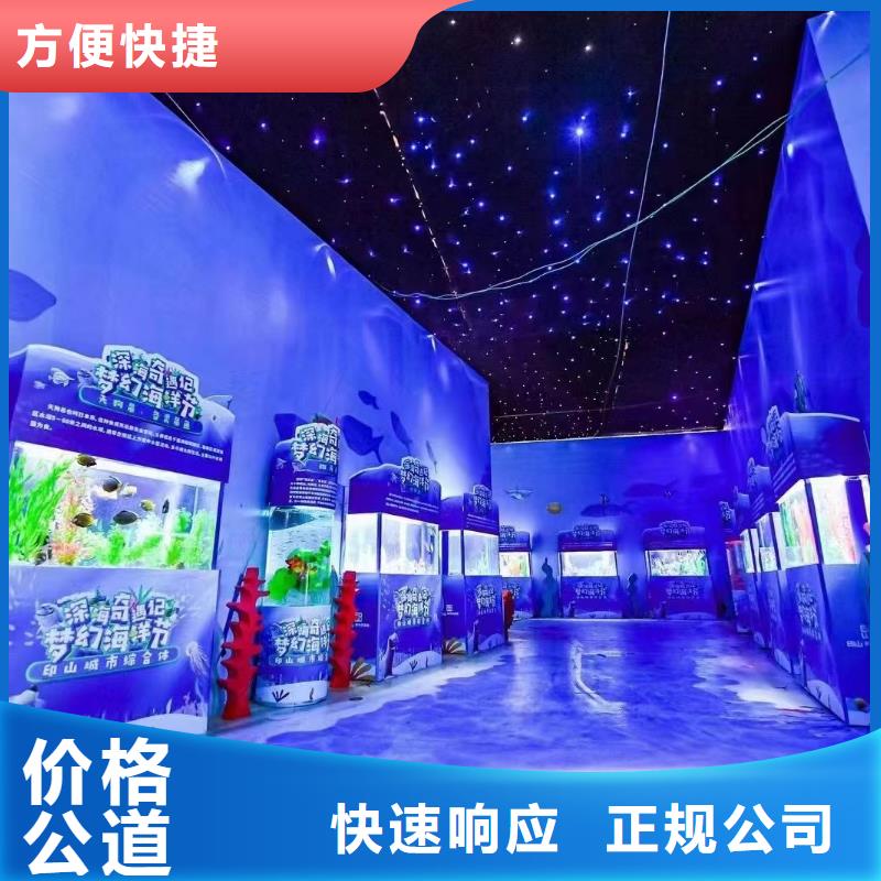 【海洋主题动物表演】 房地产开盘庆典质优价廉