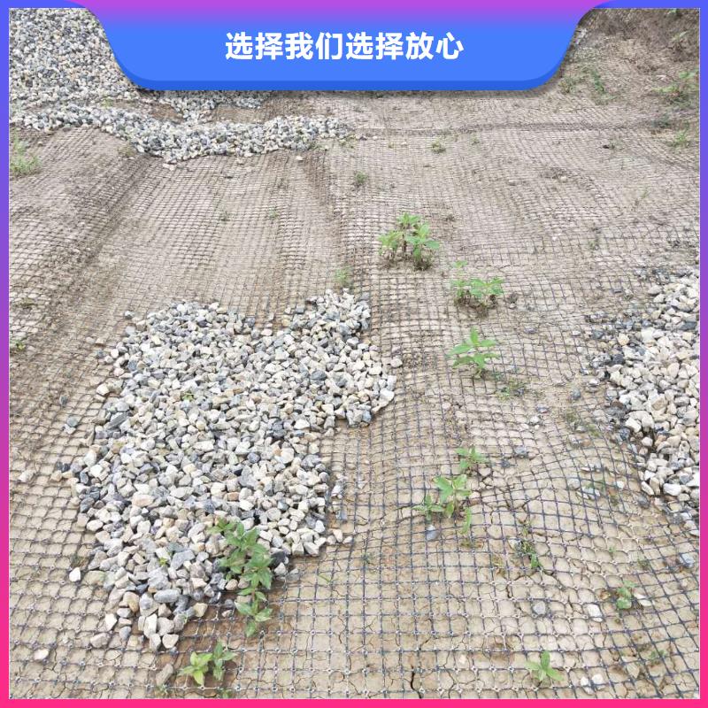 土工格栅\抗裂贴钢塑土工格栅适用范围广