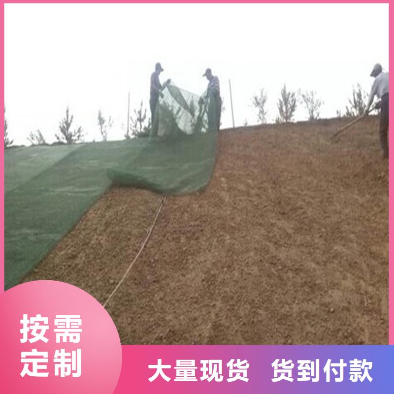 土工布【玻璃纤维土工格栅】生产加工