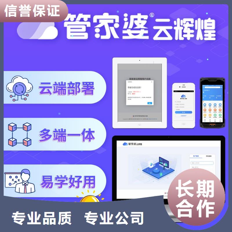 软件进销存管理系统团队