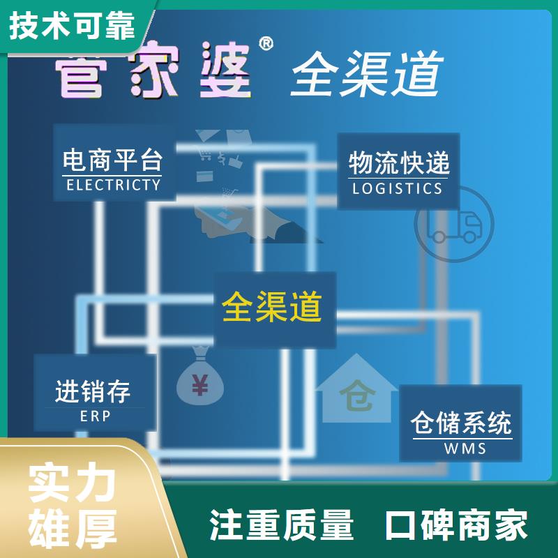 软件云端进销存软件专业团队