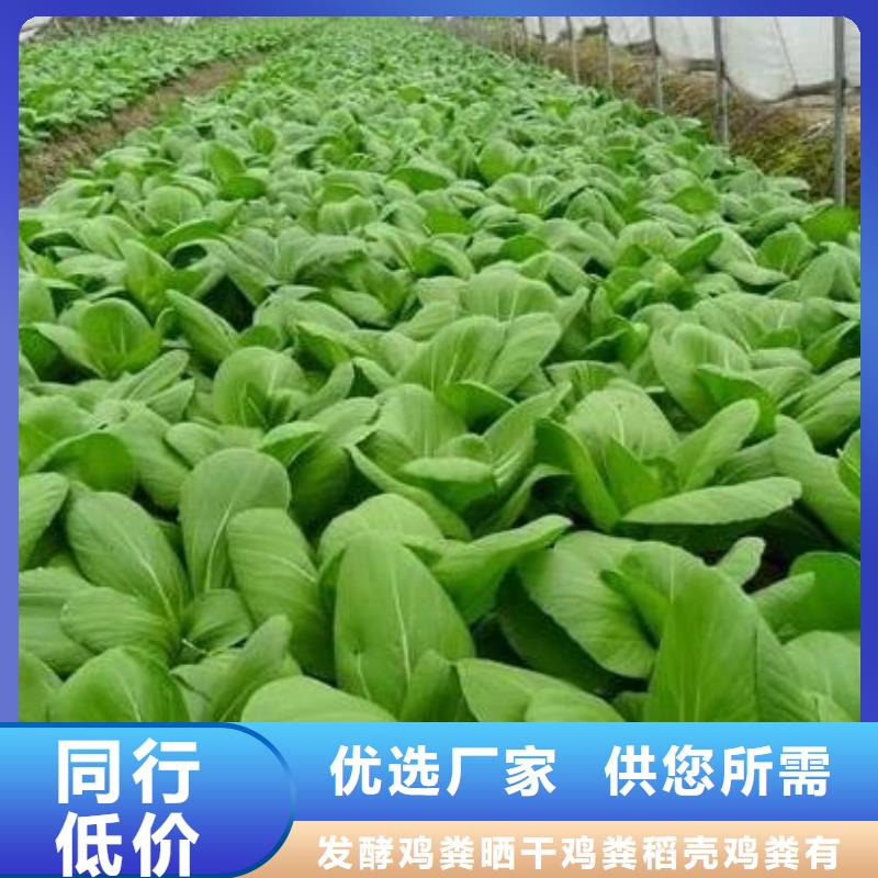 肥水鸡粪村长用着好