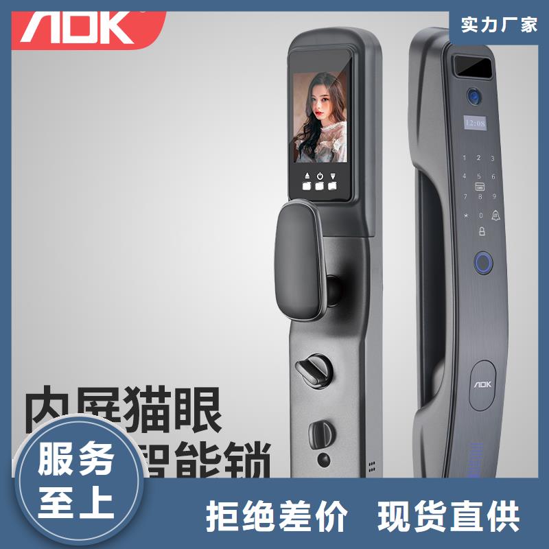 智能锁人脸识别智能锁批发产品细节