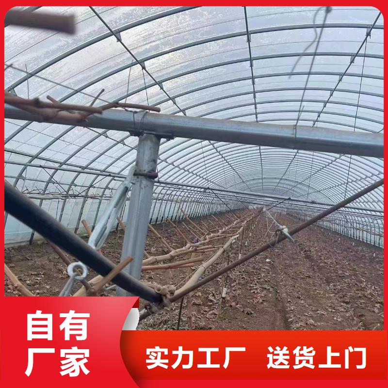 温室大棚方矩管把实惠留给您