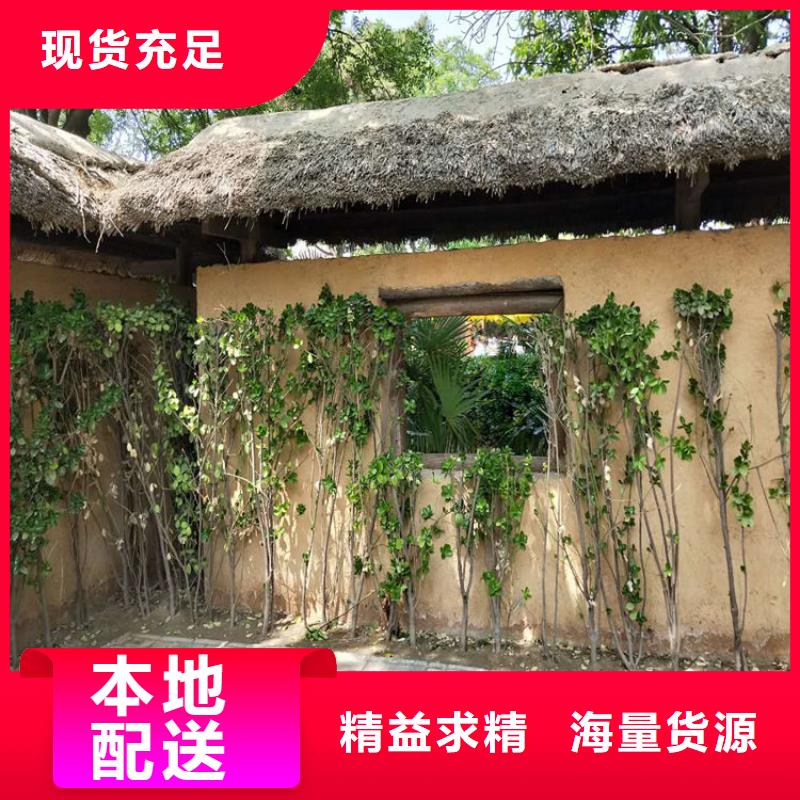 生态稻草漆批发价格质优价廉