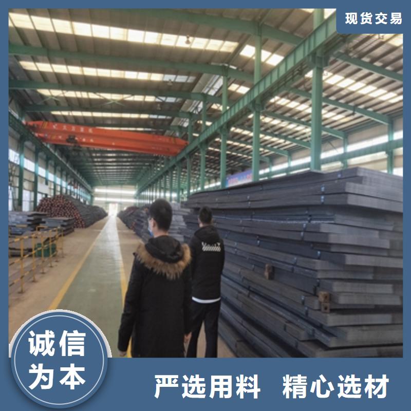 附近鑫弘扬供应BS750L钢板的公司