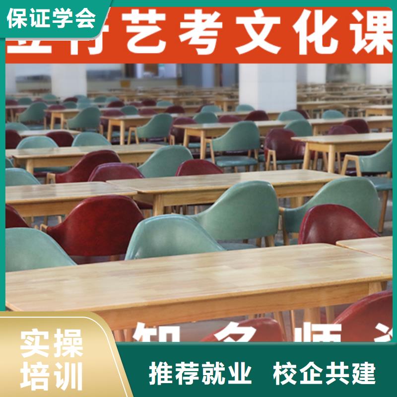 艺体生文化课补习学校多少分