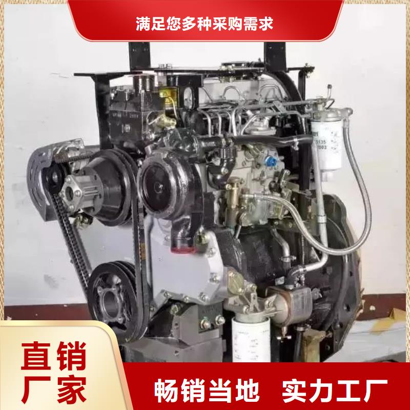 【图】精致工艺贝隆机械设备有限公司292F双缸风冷柴油机