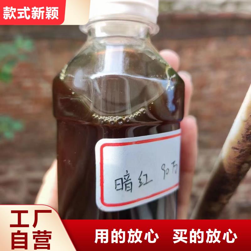 复合碳源交货期短