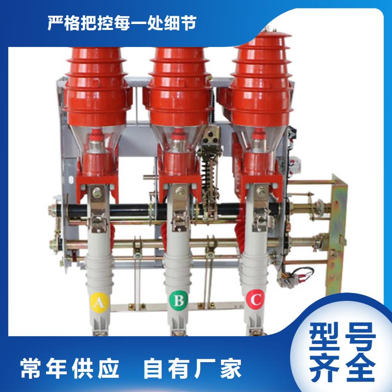 负荷开关真空断路器专注细节专注品质